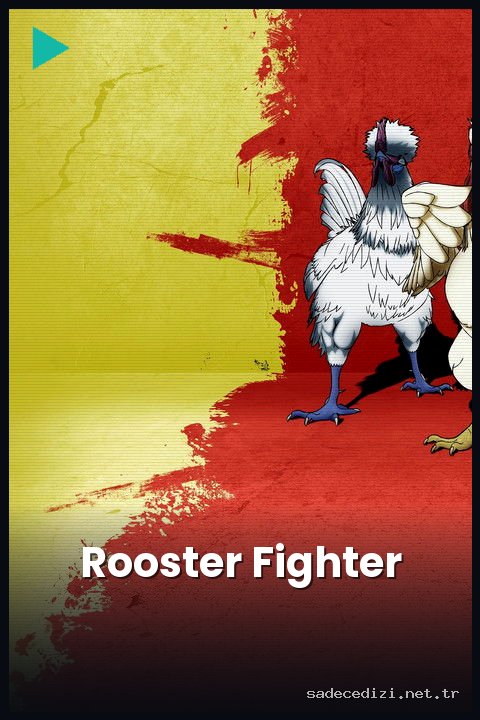 Rooster Fighter